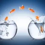 Change Management Training Courses